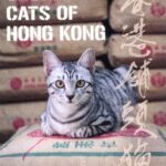 خرید و دانلود نسخه کامل کتاب Shop Cats of Hong Kong