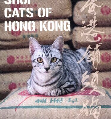 خرید و دانلود نسخه کامل کتاب Shop Cats of Hong Kong