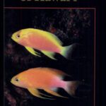 خرید و دانلود نسخه کامل کتاب Shore Fishes of Hawai’i