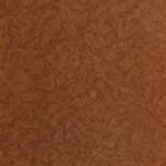 خرید و دانلود نسخه کامل کتاب Short and Concise Analysis of Mozart’s Twenty-Two Pianoforte Sonatas (With a Description of some of the Various Forms)