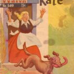 خرید و دانلود نسخه کامل کتاب Simple Kate