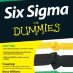 خرید و دانلود نسخه کامل کتاب Six Sigma For Dummies