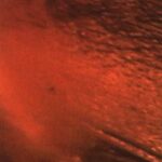 خرید و دانلود نسخه کامل کتاب Skin