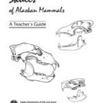 خرید و دانلود نسخه کامل کتاب Skulls of Alaskan Mammals: A Teachers Guide