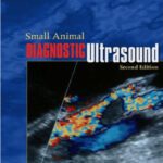 خرید و دانلود نسخه کامل کتاب Small animal diagnostic ultrasound