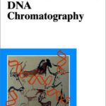 خرید و دانلود نسخه کامل کتاب Small Molecule DNA And RNA Binders From Synthesis To Nucleic Acid Complexes Demeunynck
