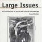 خرید و دانلود نسخه کامل کتاب Small Places, Large Issues: An Introduction to Social and Cultural Anthropology