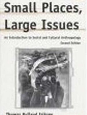 خرید و دانلود نسخه کامل کتاب Small Places, Large Issues: An Introduction to Social and Cultural Anthropology