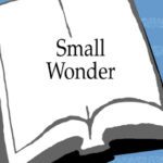خرید و دانلود نسخه کامل کتاب Small Wonder: Essays