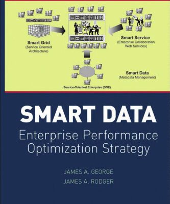 خرید و دانلود نسخه کامل کتاب Smart Data: Enterprise Performance Optimization Strategy (Wiley Series in Systems Engineering and Management)