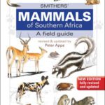 خرید و دانلود نسخه کامل کتاب Smithers’ mammals of Southern Africa: a field guide