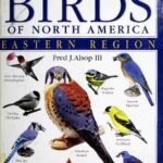 خرید و دانلود نسخه کامل کتاب Smithsonian Handbooks: Birds of North America — Eastern Region
