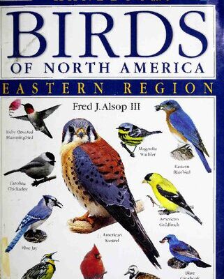 خرید و دانلود نسخه کامل کتاب Smithsonian Handbooks: Birds of North America — Eastern Region