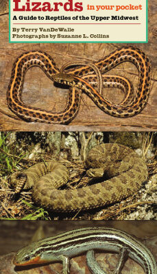 خرید و دانلود نسخه کامل کتاب Snakes and Lizards in Your Pocket: A Guide to Reptiles of the Upper Midwest (Bur Oak Guide)