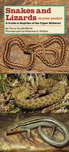 خرید و دانلود نسخه کامل کتاب Snakes and Lizards in Your Pocket: A Guide to Reptiles of the Upper Midwest (Bur Oak Guide)_68e7bff05236b.jpeg خرید و دانلود نسخه کامل کتاب Snakes and Lizards in Your Pocket: A Guide to Reptiles of the Upper Midwest (Bur Oak Guide)