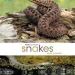 خرید و دانلود نسخه کامل کتاب Snakes