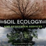 خرید و دانلود نسخه کامل کتاب Soil Ecology and Ecosystem Services