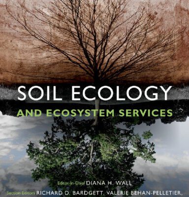 خرید و دانلود نسخه کامل کتاب Soil Ecology and Ecosystem Services