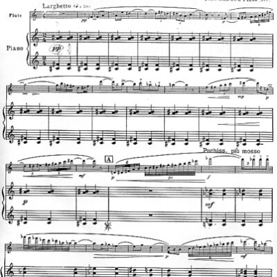 خرید و دانلود نسخه کامل کتاب Soliloquy (flute +piano)