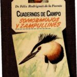 خرید و دانلود نسخه کامل کتاب Somormujos y zampullines