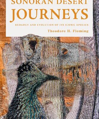 خرید و دانلود نسخه کامل کتاب Sonoran Desert Journeys: Ecology and Evolution of Its Iconic Species