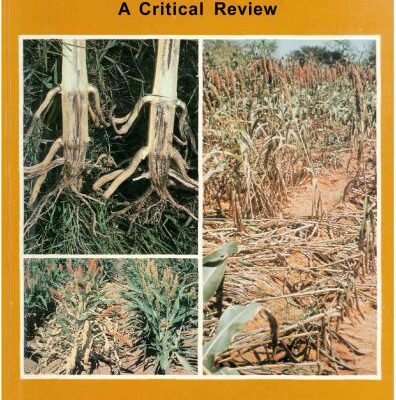 خرید و دانلود نسخه کامل کتاب Sorghum Root and Stalk Rots: a Critical Review