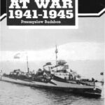خرید و دانلود نسخه کامل کتاب Soviet Navy at war 1941-1945