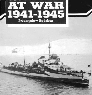 خرید و دانلود نسخه کامل کتاب Soviet Navy at war 1941-1945