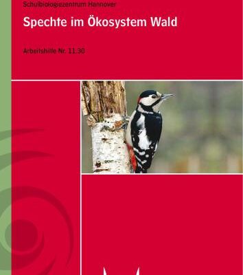 خرید و دانلود نسخه کامل کتاب Spechte im Ökosystem Wald