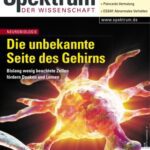 خرید و دانلود نسخه کامل کتاب Spektrum der Wissenschaft September 2004  issue 09