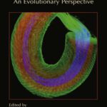 خرید و دانلود نسخه کامل کتاب Sperm Biology – An Evolutionary Perspective