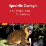 خرید و دانلود نسخه کامل کتاب Spezielle Zoologie Teil 2: Wirbel- oder Schädeltiere
