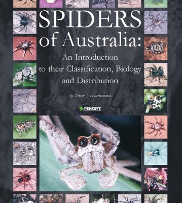 خرید و دانلود نسخه کامل کتاب Spiders of Australia : an introduction to their classification, biology, and distribution