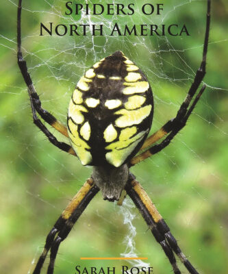 خرید و دانلود نسخه کامل کتاب Spiders of North America