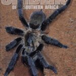 خرید و دانلود نسخه کامل کتاب Spiders of Southern Africa