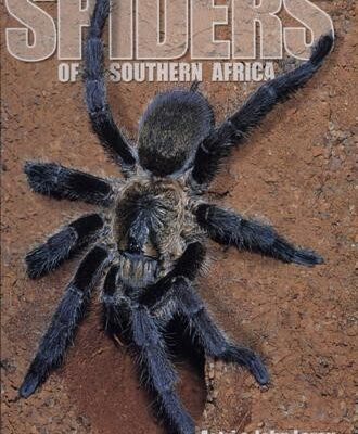 خرید و دانلود نسخه کامل کتاب Spiders of Southern Africa