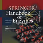 خرید و دانلود نسخه کامل کتاب Springer Handbook of Enzymes, 2nd Edition, Supplement Volume S3 (Class 2 Transferases EC 2.7.11.1–2.7.11.16)
