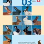خرید و دانلود نسخه کامل کتاب Standard 03 fur die Bewertung der in der Schweiz anerkannten Rassekaninchen