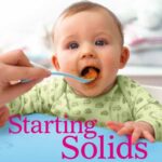 خرید و دانلود نسخه کامل کتاب Starting Solids: The Essential Guide to Your Babys First Foods