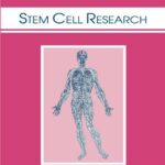 خرید و دانلود نسخه کامل کتاب Stem Cell Research (Biomedical Ethics Reviews)