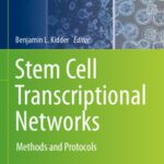 خرید و دانلود نسخه کامل کتاب Stem Cell Transcriptional Networks: Methods and Protocols
