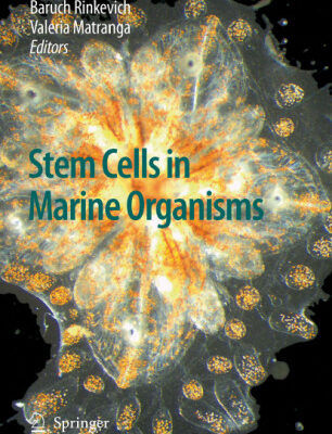 خرید و دانلود نسخه کامل کتاب Stem Cells in Marine Organisms