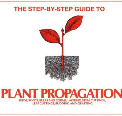 خرید و دانلود نسخه کامل کتاب Step-by-Step Guide to Plant Propagation