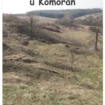خرید و دانلود نسخه کامل کتاب Stepní stráň u Komořan
