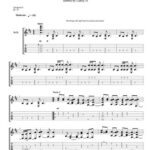 خرید و دانلود نسخه کامل کتاب Sting – Fields of Gold (Sungha Jung)
