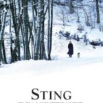خرید و دانلود نسخه کامل کتاب Sting If on a Winter’s Night