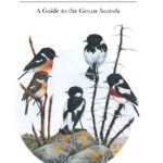 خرید و دانلود نسخه کامل کتاب Stonechats: A Guide to the Genus “Saxicola”