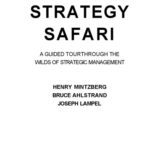 خرید و دانلود نسخه کامل کتاب Stratagy Safary: a guided tour through the wilds of strategic management