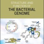 خرید و دانلود نسخه کامل کتاب Structure and Function of the Bacterial Genome
