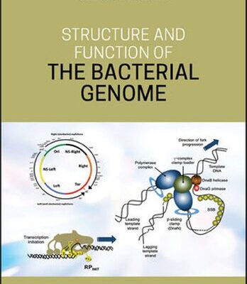 خرید و دانلود نسخه کامل کتاب Structure and Function of the Bacterial Genome